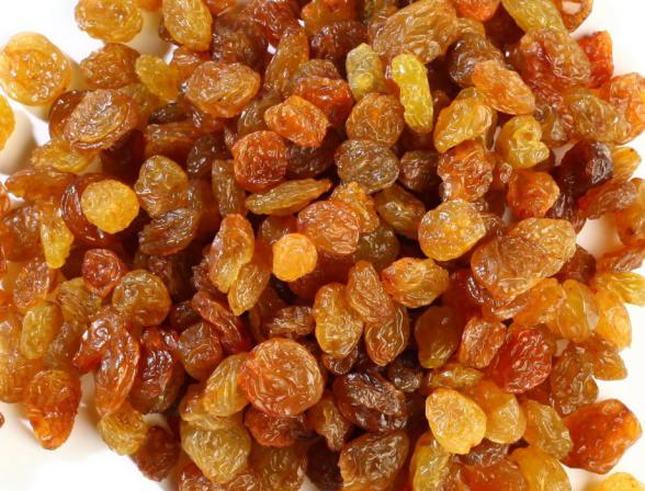 Export Business of Fresh Dried Raisins