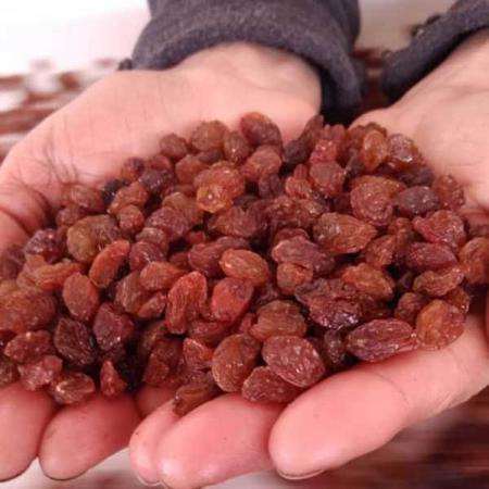 Wholesale Price of Organic Red Raisins