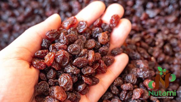 Good Raisins Wholesale 2021
