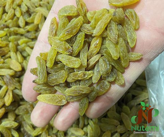 Dried Grapes with Best Price You Can Find
