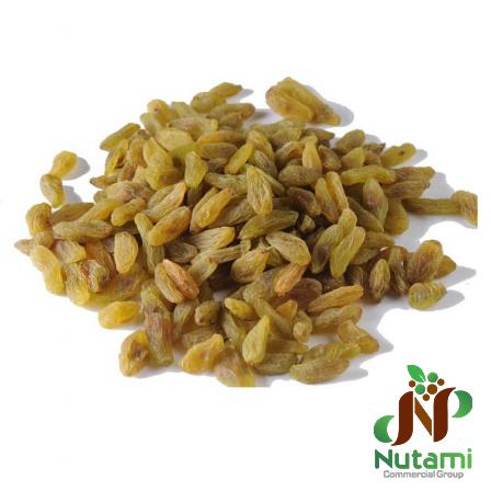 Green Raisins Seedless to Export
