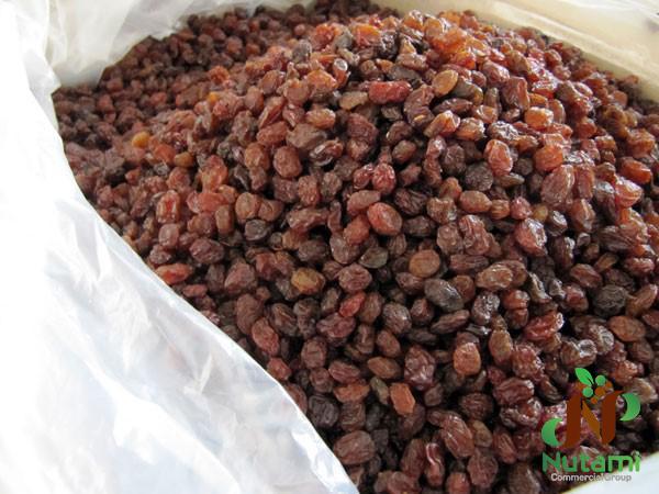 Organic Sun Dried Raisins Wholesalers
