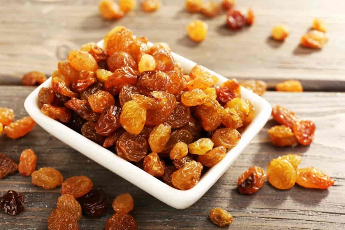 What is the best type of regular raisin?