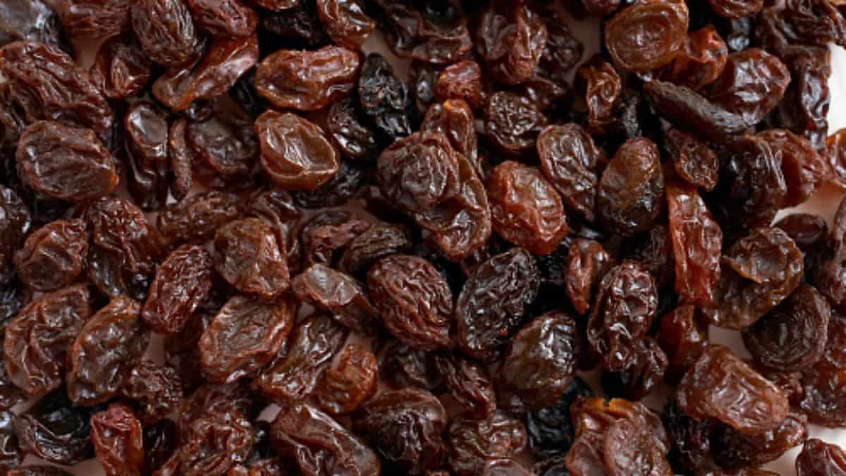  dried grape raisin wholesale suppliers in different countries 