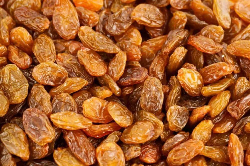  buy sultana raisins | Selling With reasonable prices 