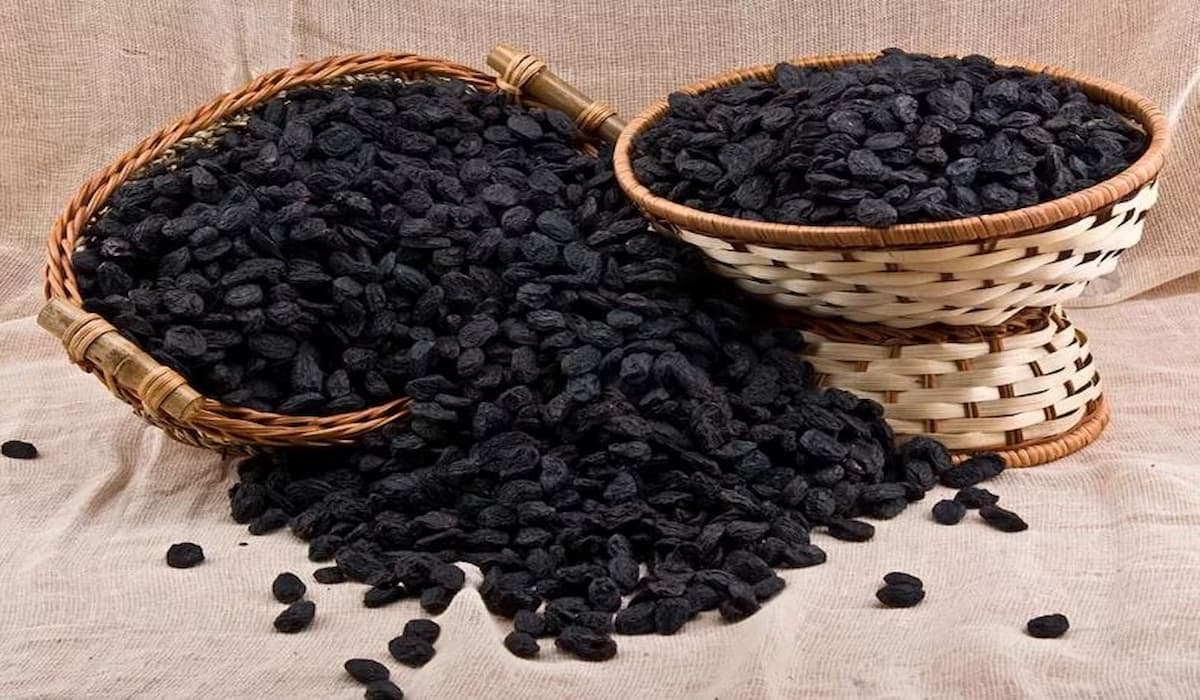  black raisins nutrition iron purchase price + Quality testing 