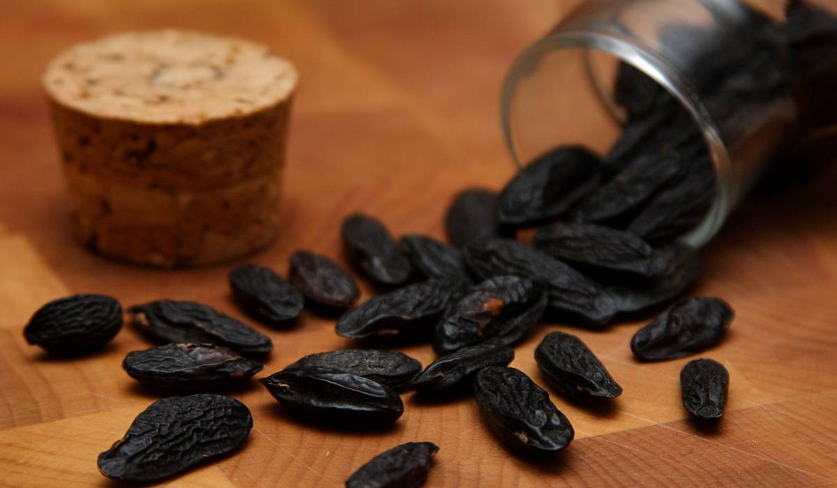  The best black raisins for eye + Great purchase price 