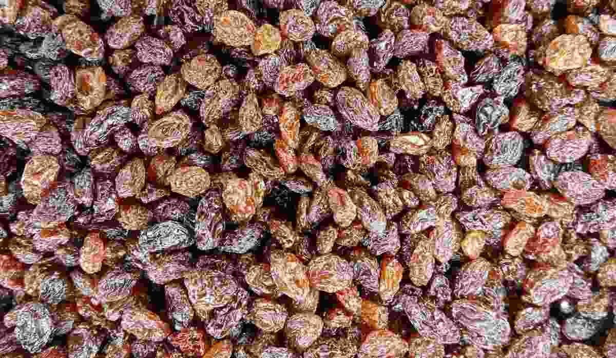  Best Sized Sultana Raisins| buy at a cheap price 