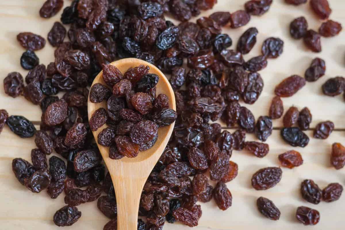  organic colored raisins + best buy price 