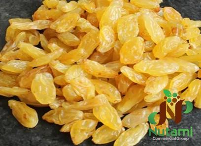 Buy green golden raisins + great price with guaranteed quality