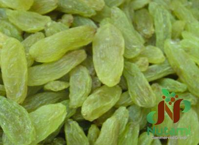 dried raisins for hamsters + purchase price, uses and properties