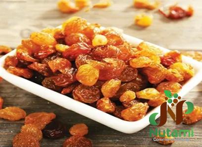Buy all kinds of raisins vegan at the best price
