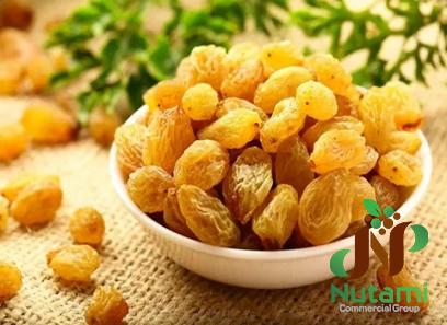 The price of golden sultanas + purchase and sale of golden sultanas wholesale