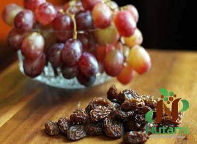 Buy raisins into grapes + introduce the production and distribution factory