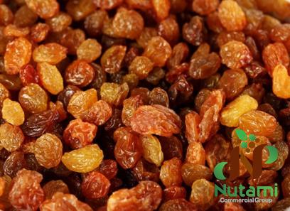 dried red raisins buying guide + great price