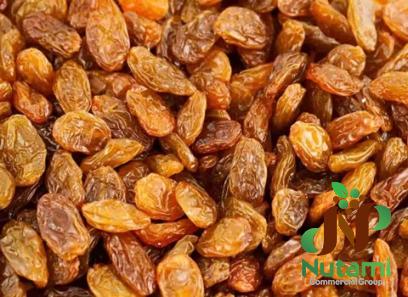 Buy dried raisin for baby + great price with guaranteed quality