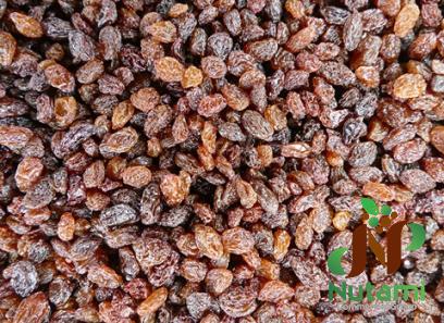 Purchase and today price of boxes organic raisins