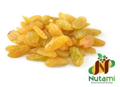 The price of green raisins + purchase and sale of green raisins wholesale