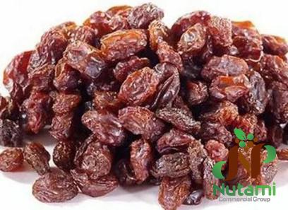 Getting to know no sugar raisins + the exceptional price of buying no sugar raisins