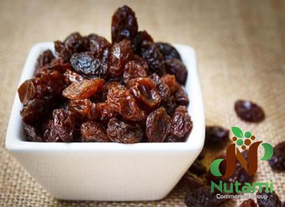 Buy all kinds of unsweetened raisins at the best price