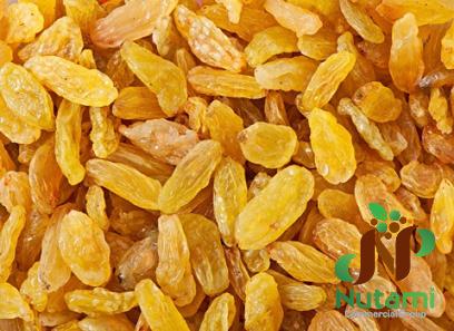 dry raisin green + purchase price, uses and properties