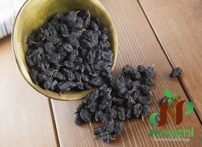 Buy bulk organic raisins + great price with guaranteed quality
