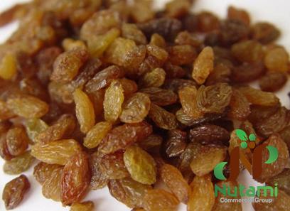 Buy the best types of green raisins at a cheap price