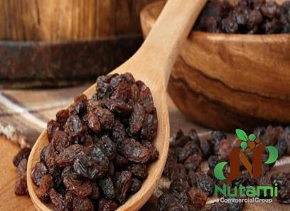 Buy the best types of black raisin at a cheap price