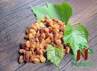 The price of dried green raisins + wholesale production distribution of the factory