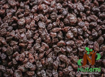 The purchase price of dried raisin grape + training