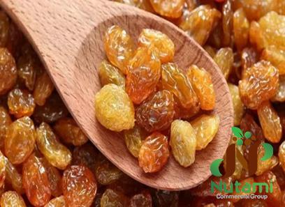 raisins without added sugar | Buy at a cheap price