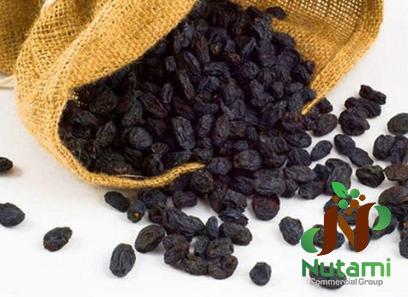 Buy organic black raisins with seeds at an exceptional price