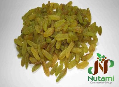 dried raisins for dogs price + wholesale and cheap packing specifications